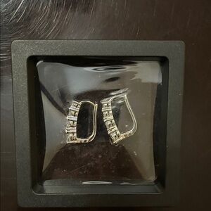Elegant Silver Hoop Earrings